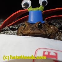 /home//u458753944/public_html/sourcegallery//////Roxborough Toad Detour/2013-2019/2018/2018-04-13/P4130033.JPG